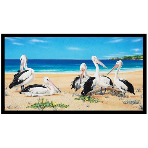 Wildlife Art 4 Pelicans Beach 24" DV3700