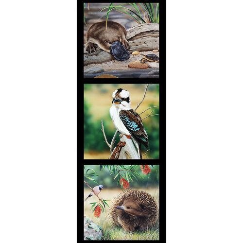 Wildlife Art 5 Platypus Kookaburra Echdina DV3706