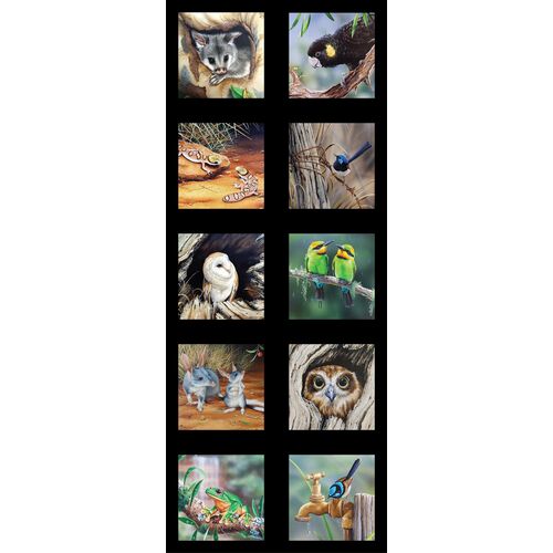 Wildlife Art 5 Australian Animal Blocks DV3708