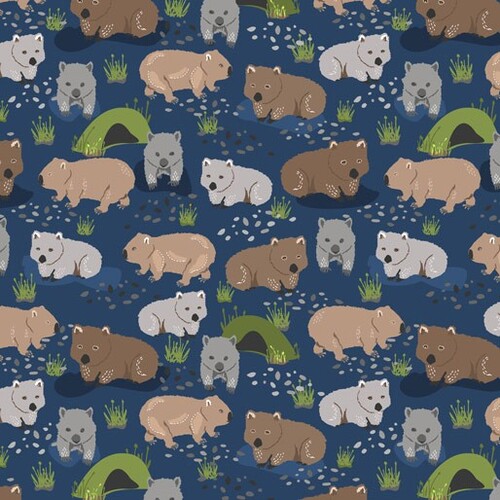 Roaming the Mallee Aussie Wombats Navy B2