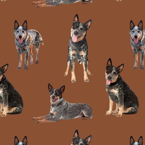 Merino Muster Australian Blue Heeler Dogs Brown F