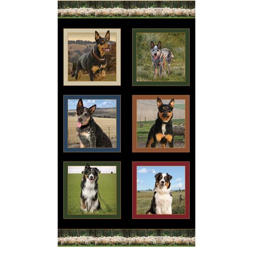 Merino Muster Australian Farm Dogs Panel C