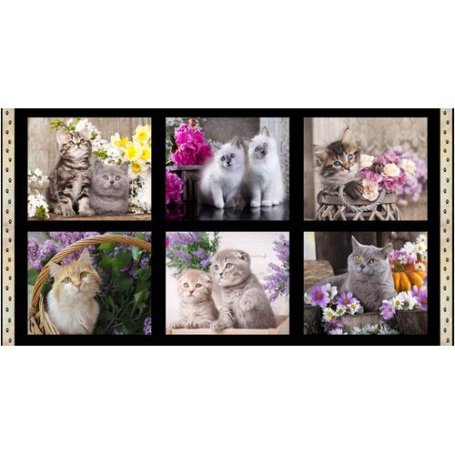 Cute Kittens Cats Flowers Panel A