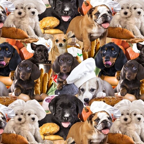 Kitchen Dogs Packed D