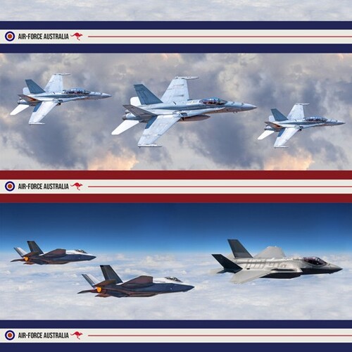 Air Force Centenary Hornet Lightning Aircraft Stripe C
