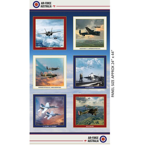 Air Force Centenary Blocks Panel 24" B