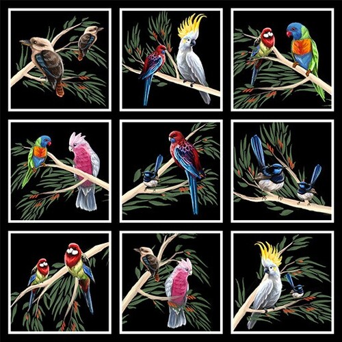 Birds of the Bush Buddies 6 Inch Blocks Panel B