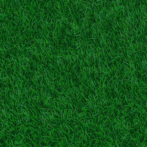Outdoor Aussie Lawn Grass Green R