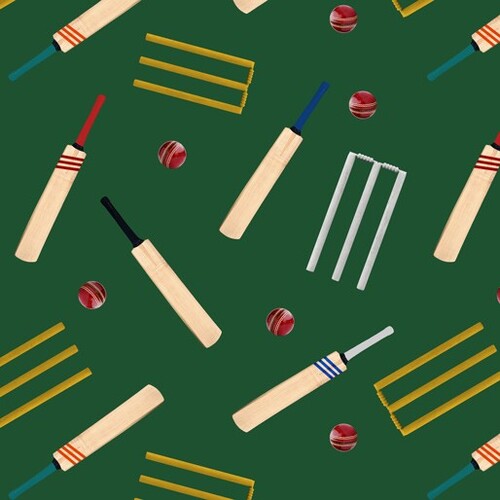 Outdoor Aussie Cricket Bats Balls Wickets F