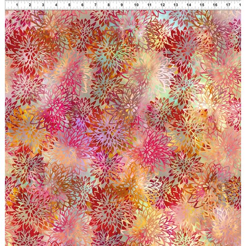 Haven Chrysanthemums Multi 5HVN-1