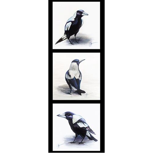 Chris Riley Collection 2 Magpies DV3911