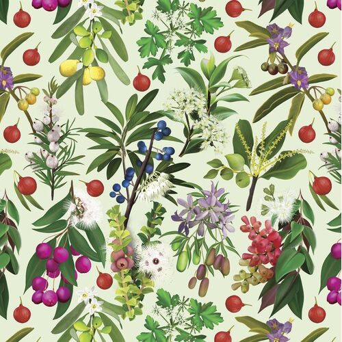 Orenda Joy Green 2 Australian Bush Foods DV3772