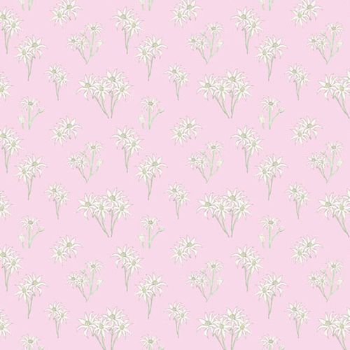 End of Bolt (EOB)-Sweet Bilby Flannel Flowers 1.64m
