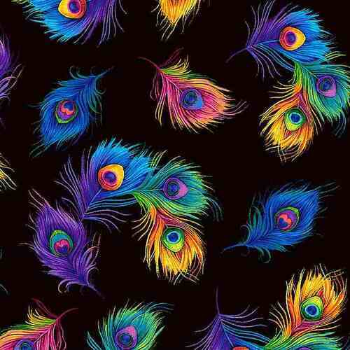 Glow Rainbow Tossed Peacock Feathers Black C8413