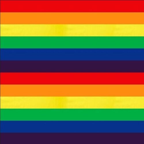 Rainbow Stripe Multi Per Metre