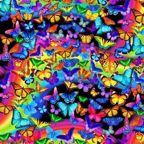 Bright Rainbow Butterflies Flight 7945
