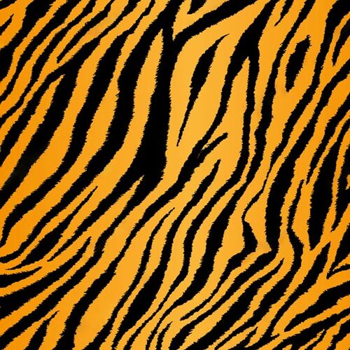 African Safari Tiger Skin Animal Print Q