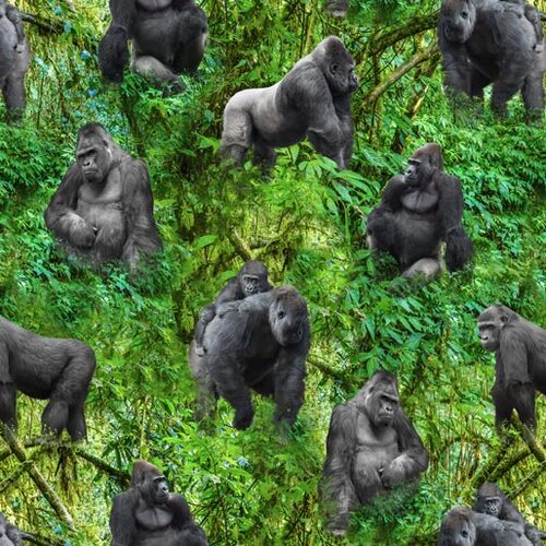 African Safari Gorilla Jungle P