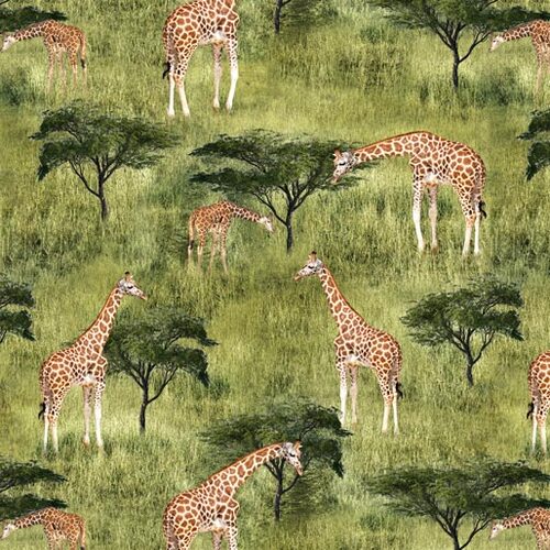 African Safari Giraffe Savannah J