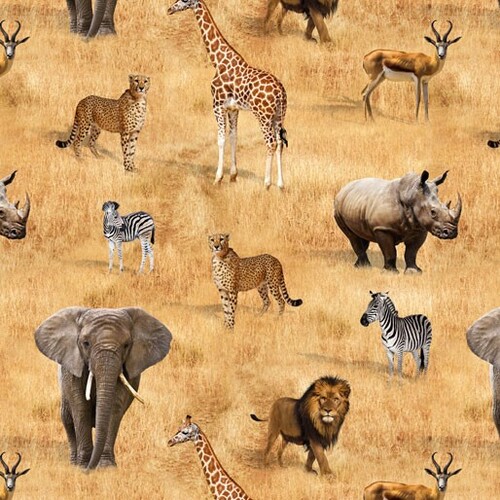 African Safari Animals Savannah F