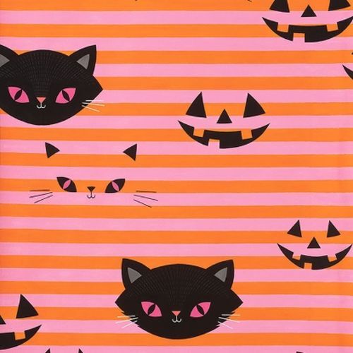 Hide and Go Kitty Cat Faces Pink Orange 8885A 1/2m