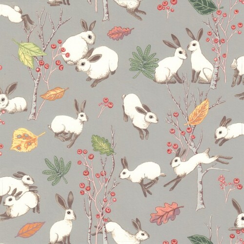 In The Meadow Rabbits 101