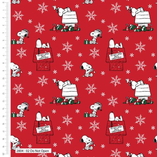 Snoopy Christmas Fun Don't Open 2804-02