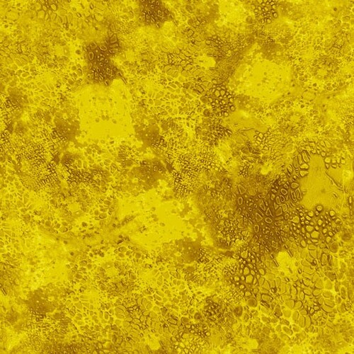 De's Texture Basic Tone on Tone Yellow 0225Y
