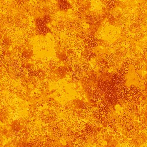 De's Texture Basic Tone on Tone Orange 0225S