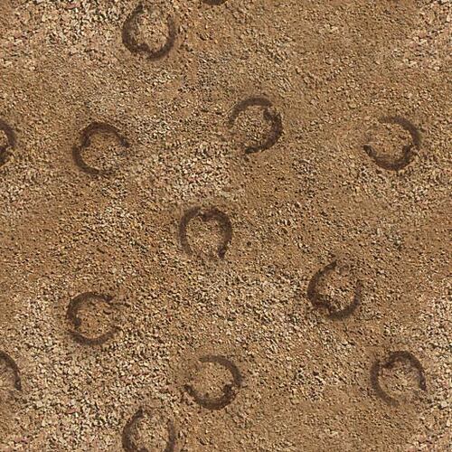 Heavy Horses Horse Hoof Prints N