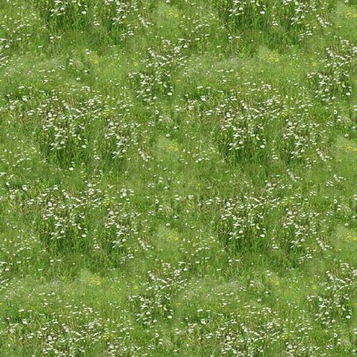 Heavy Horses Country Grass Fields K