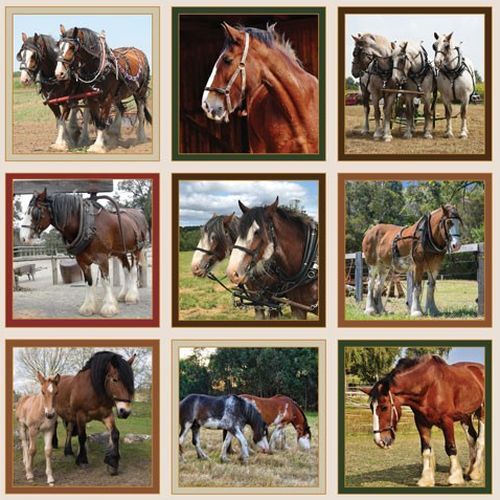 Heavy Horses Horse 13" Blocks Fabric Panel C