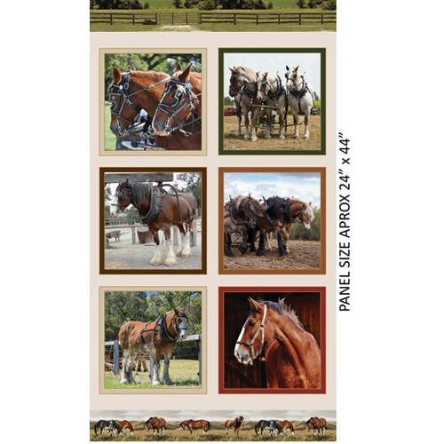 Heavy Horses Horse 24" Fabric Panel A
