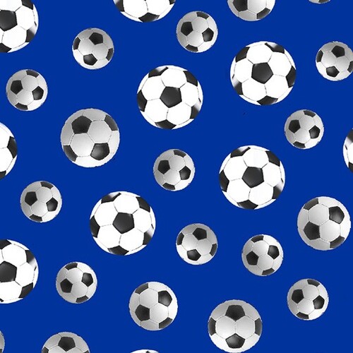 World Cup Soccer Footballs Blue 1855