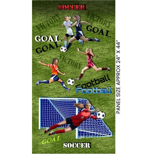 World Cup Womens Soccer Football Quilt Panel 1144 