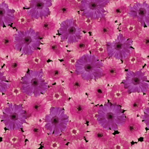 Blooming Beauty Floral Splender Violet 7815-62 By the Metre