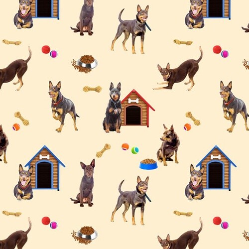 Canine Companions Australian Kelpie Dogs O