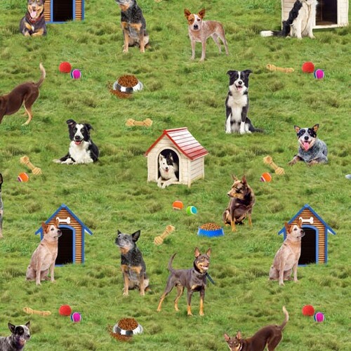 Canine Companions Herding Dog Breeds Kennels H