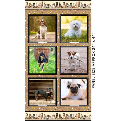 Canine Companions Dogs Furry Friends Panel C