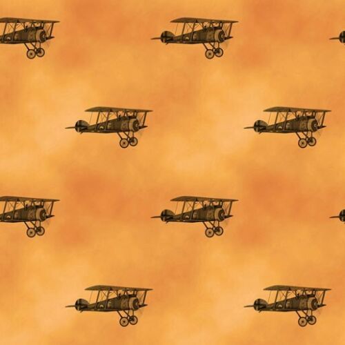 Remembering Anzac Biplanes War Planes  7117 R