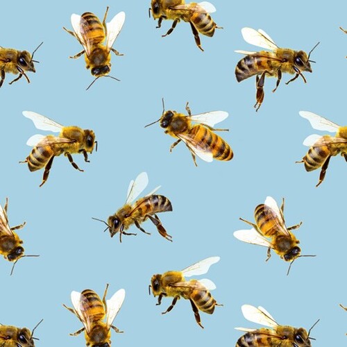 The Bees Knees Bee Buzz Toss Blue M
