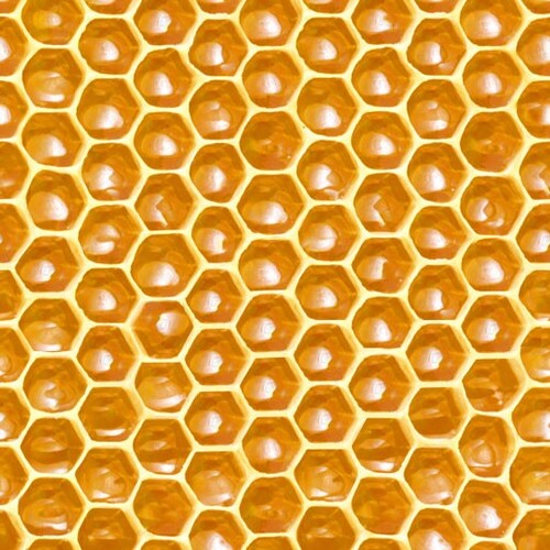 The Bees Knees Honeycomb Hexis K