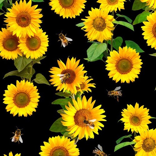 The Bees Knees Sunflowers Black I