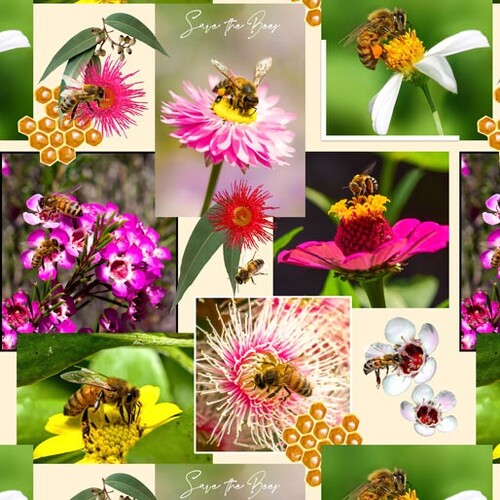 The Bees Knees Save the Bee Garden C