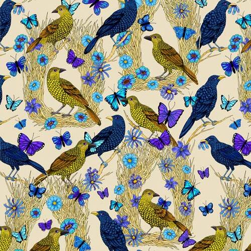Wonderful Wings Bowerbirds 0224H2