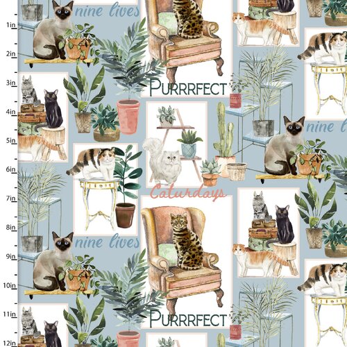 Everyday is Caturday Purrfect Cat Patch 18036-BLU