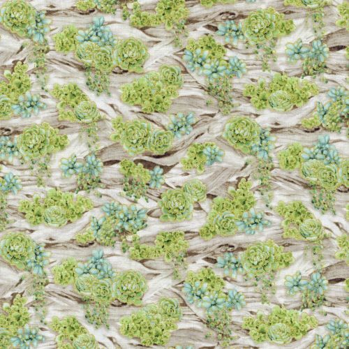 Oasis Driftwood Succulent Garden Aloe 2887-001 By The Metre