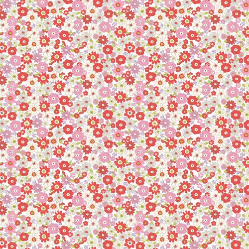 Sarah Kay With Love Daisy Packed Floral Red Pink DV5067