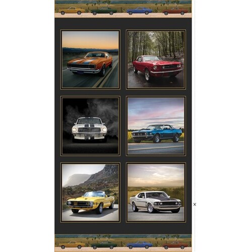 Vintage Vehicles Ford Falcon Cars 24" Panel V