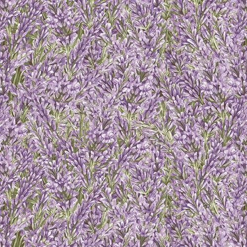 Lavender Garden Packed Sprigs 9873-56